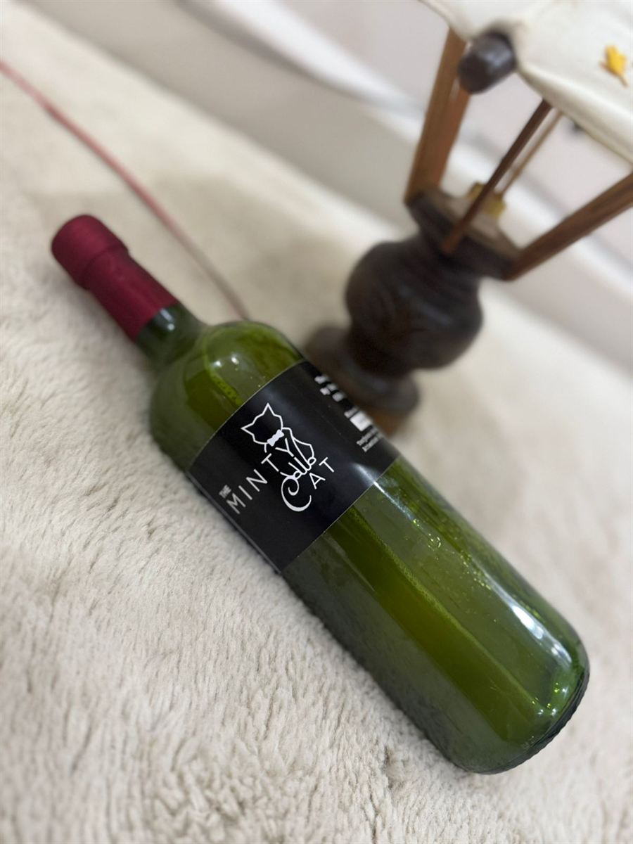 The Minty Cat ginger beer bottles